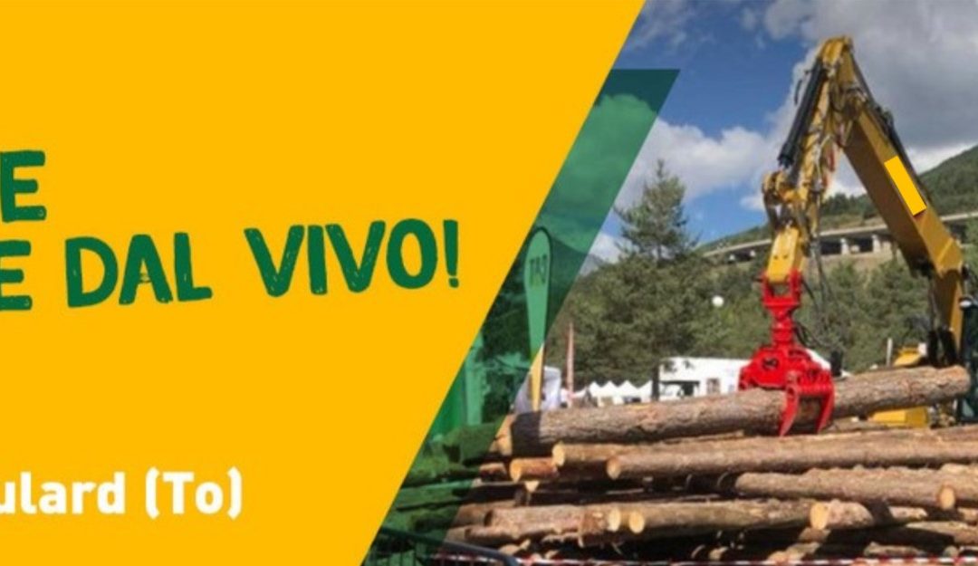 Boster, la fiera sulle filiere bosco-legno dal 2 al 4 luglio a Oulx-Beaulard (To): noi ci siamo!