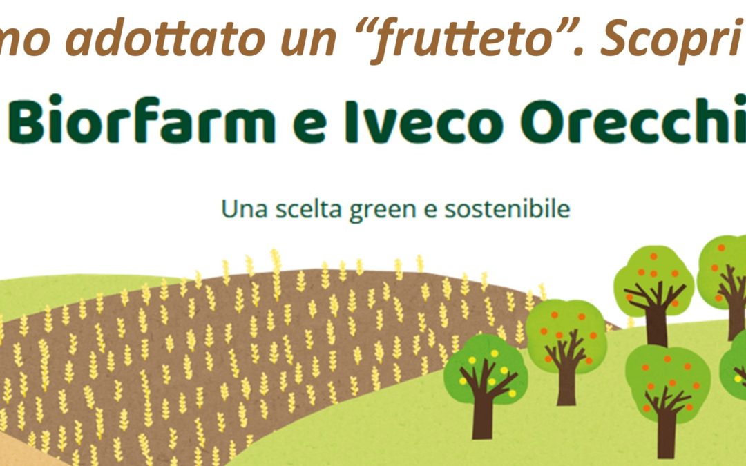 Dicembre 2022: Iveco Orecchia “adotta” un frutteto!